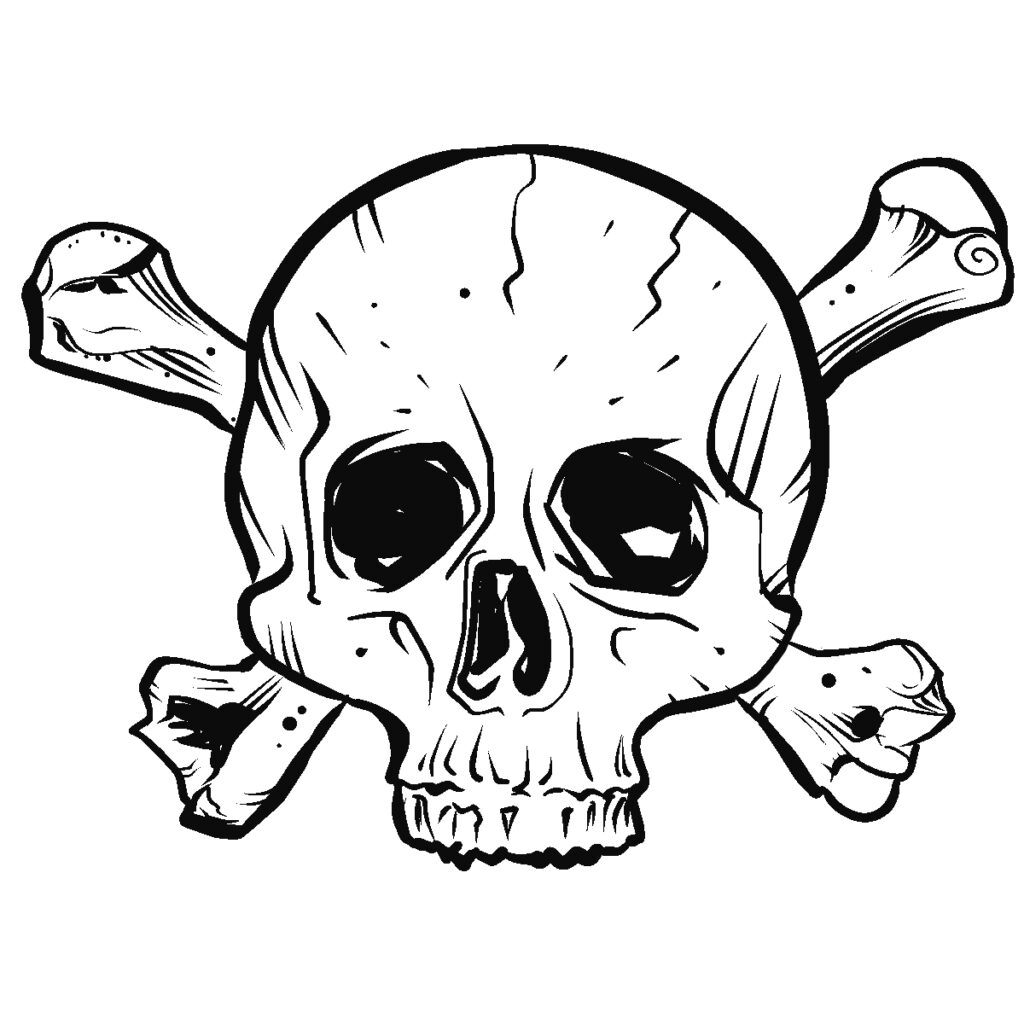 Skull illustration in pen and ink by Dirk Hooper